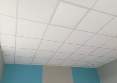 Faux Plafond démontable Montier-en-Der 52220